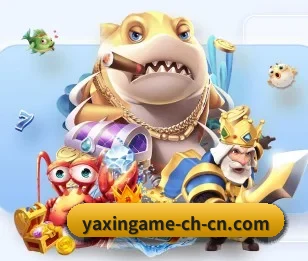 体育资讯精选池,深度分析与独家观点
